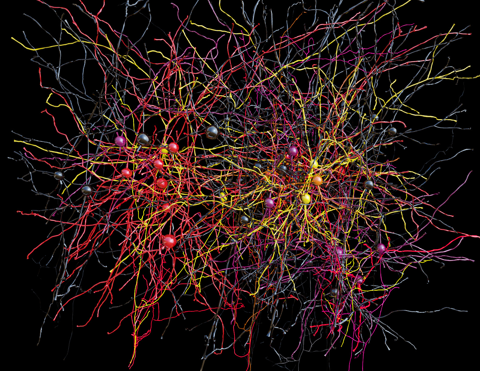 A network of cortical neurons whose connections were traced from a multi-terabyte 3D data set. The data were created by an electron microscope designed and built at Harvard Medical School to collect millions of images in nanoscopic detail, so that every one of the “wires” could be seen, along with the connections between them. Some of the neurons are color-coded according to their activity patterns in the living brain. This is the newest example of functional connectomics, which combines high-throughput functional imaging, at single-cell resolution, with terascale anatomy of the very same neurons. (Image credit: Clay Reid, Allen Institute; Wei-Chung Lee, Harvard Medical School; Sam Ingersoll, graphic artist)